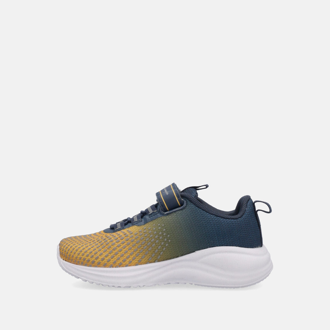 CHAMPION SYNPHON REFLECT