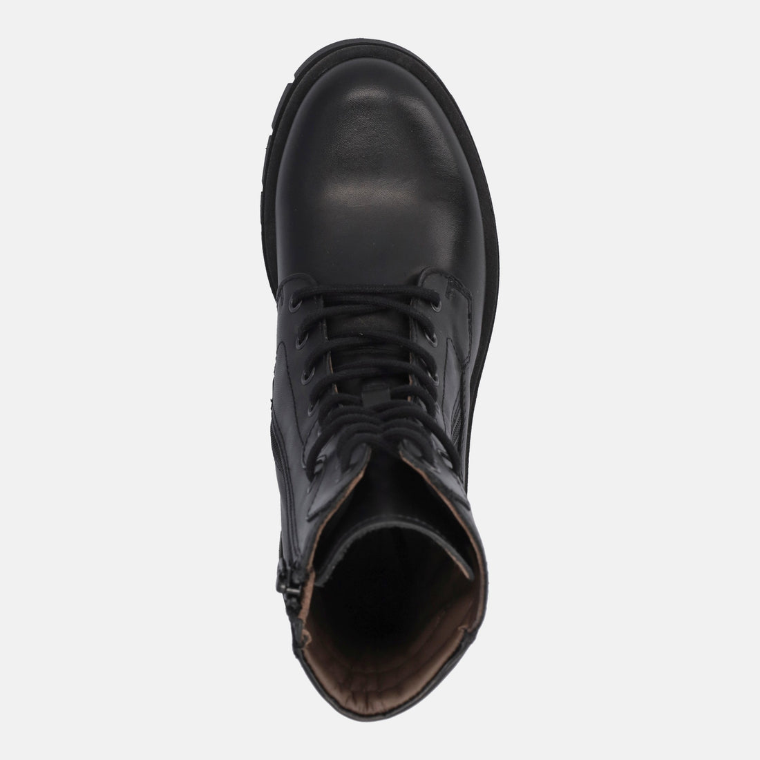 NERO GIARDINI ANFIBI