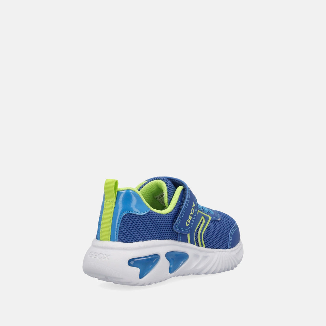GEOX ASSISTER