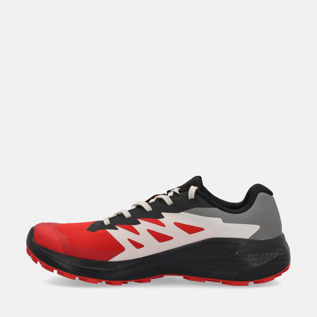 SALOMON ALPHAGLIDE GTX