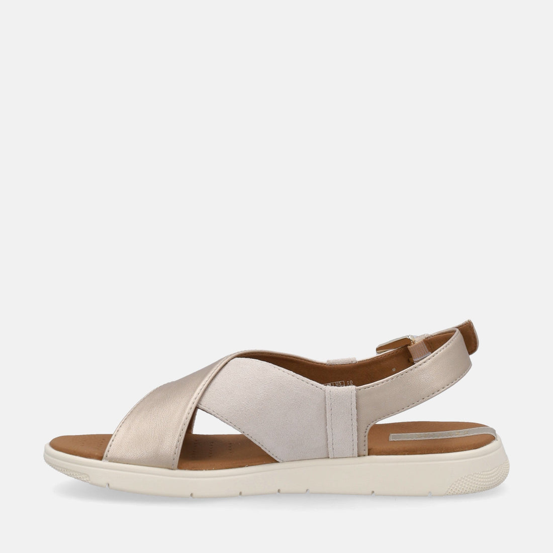 GEOX DANDRA