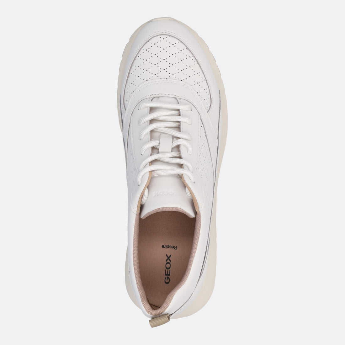 GEOX SUKIE 2.0