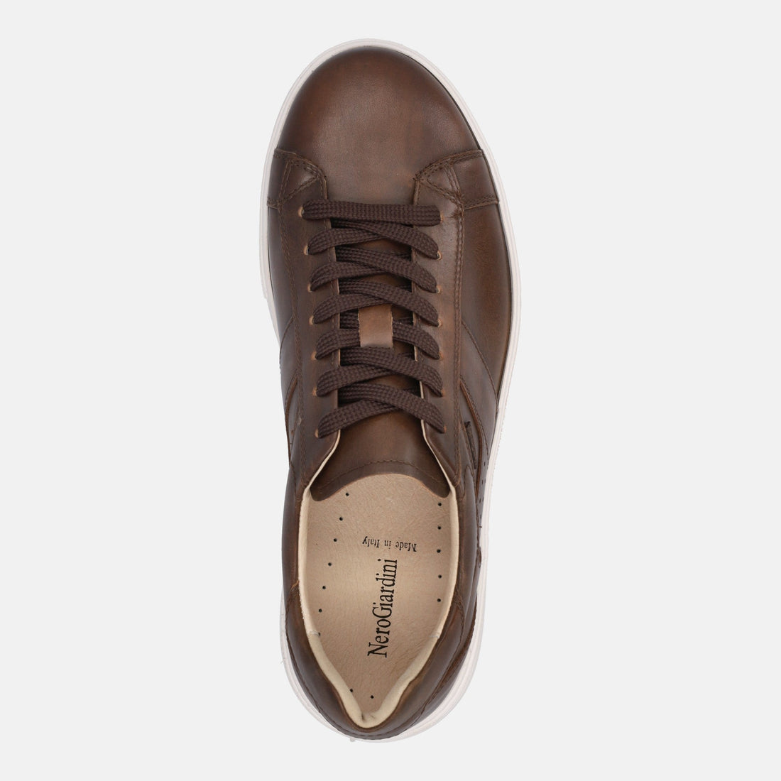 NERO GIARDINI SNEAKERS