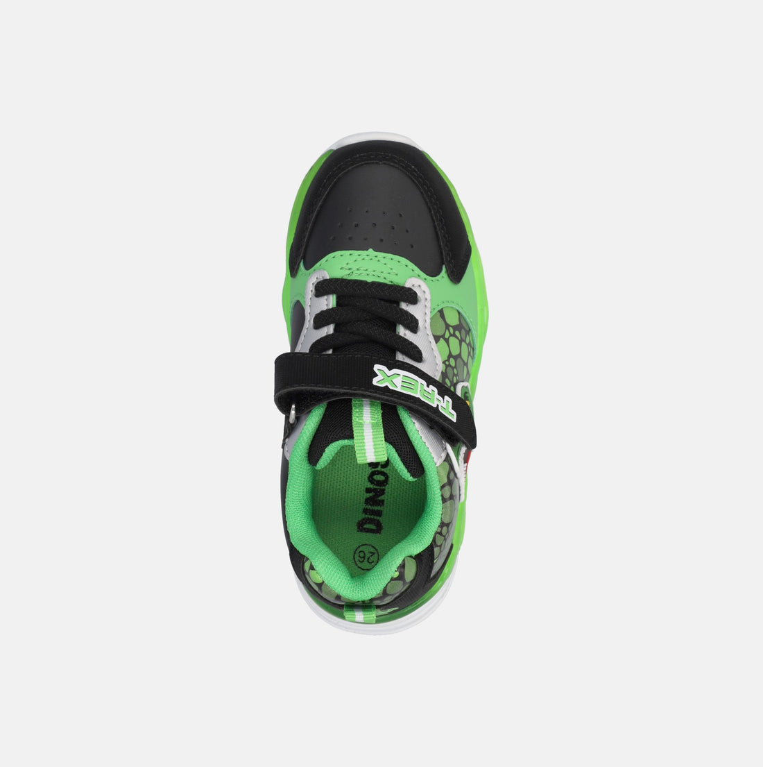DINOSAURI SNEAKERS