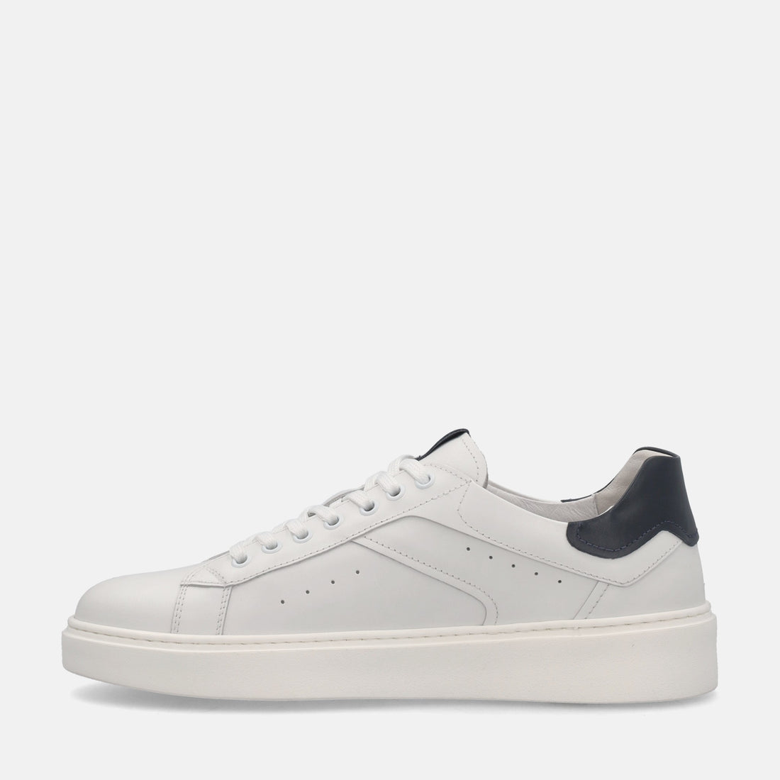 NERO GIARDINI SNEAKERS