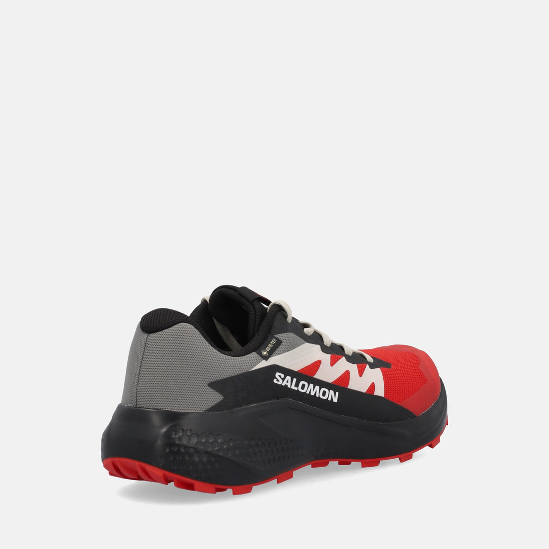 SALOMON ALPHAGLIDE GTX