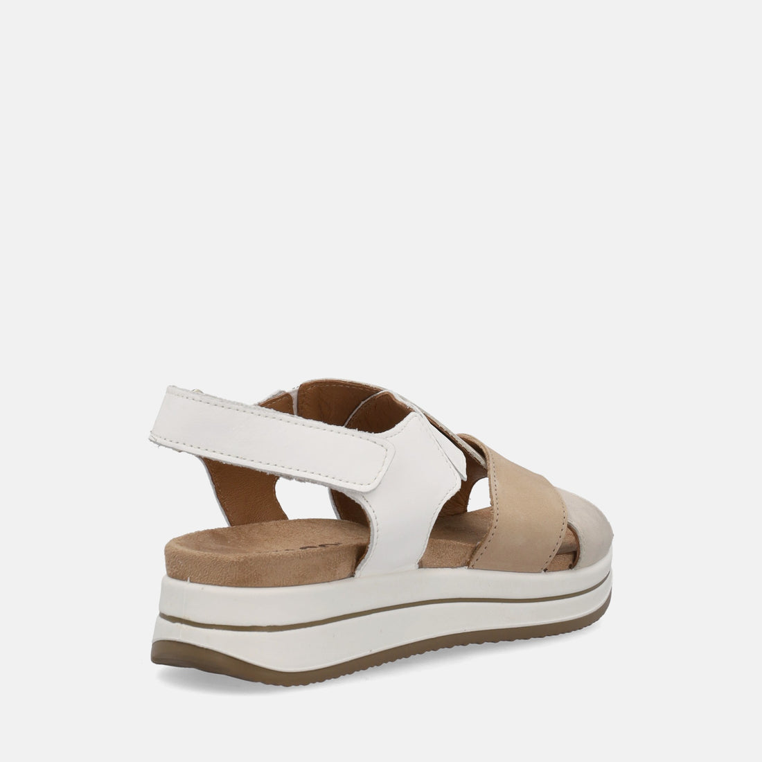IGI&CO SINDY