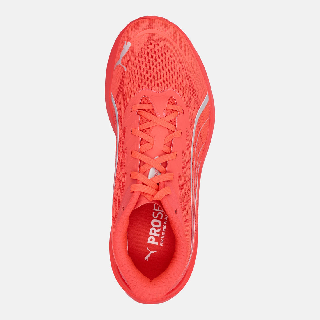 PUMA DARTER PRO 2 RUNNING
