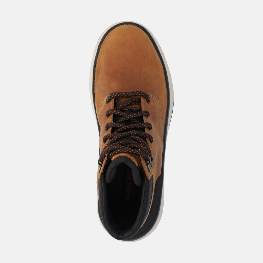GEOX POLACCO