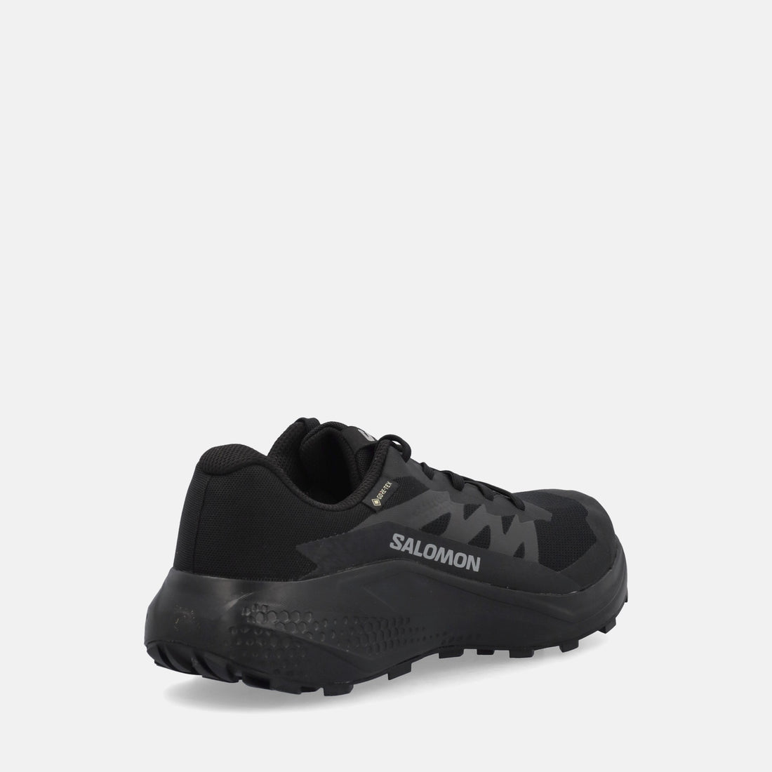 SALOMON ALPHAGLIDE GTX