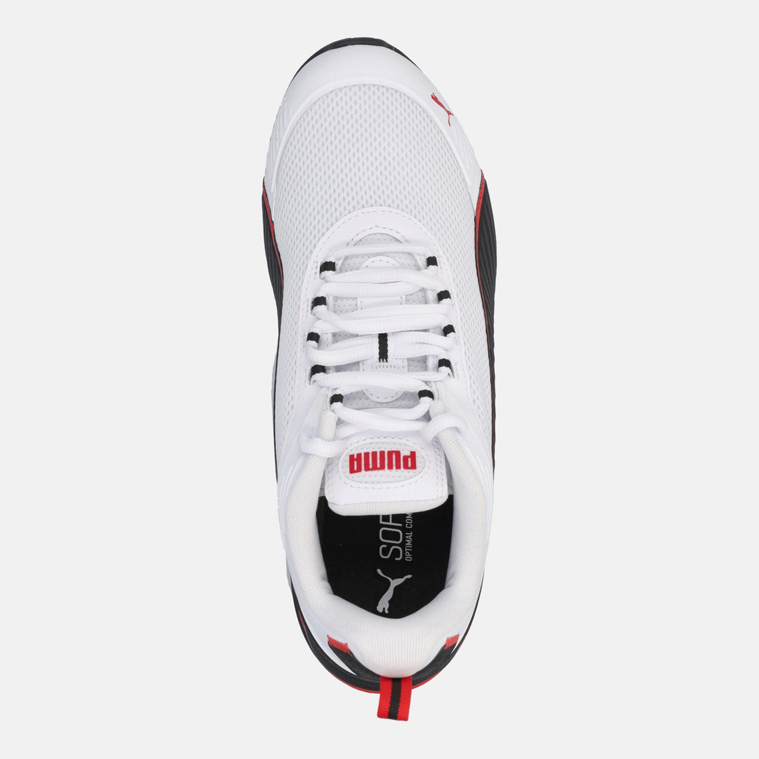 PUMA MAGNETIC