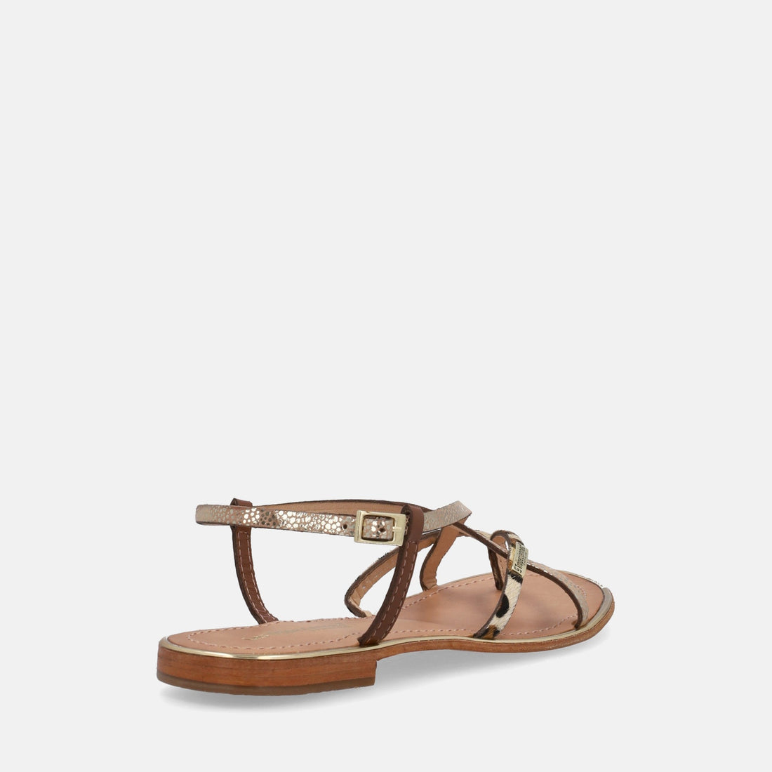 LES TROPEZIENNES MONACODE