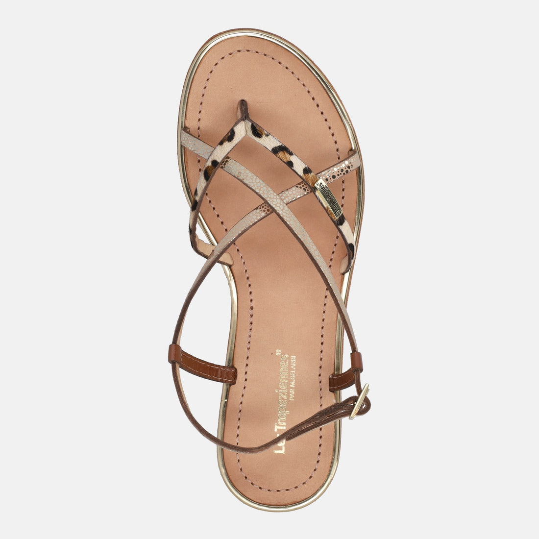 LES TROPEZIENNES MONACODE