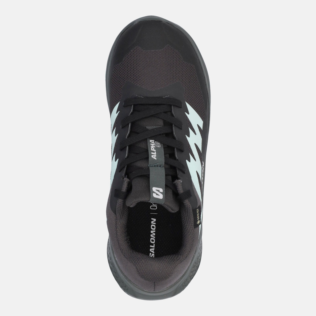 SALOMON ALPHAGLIDE GTX