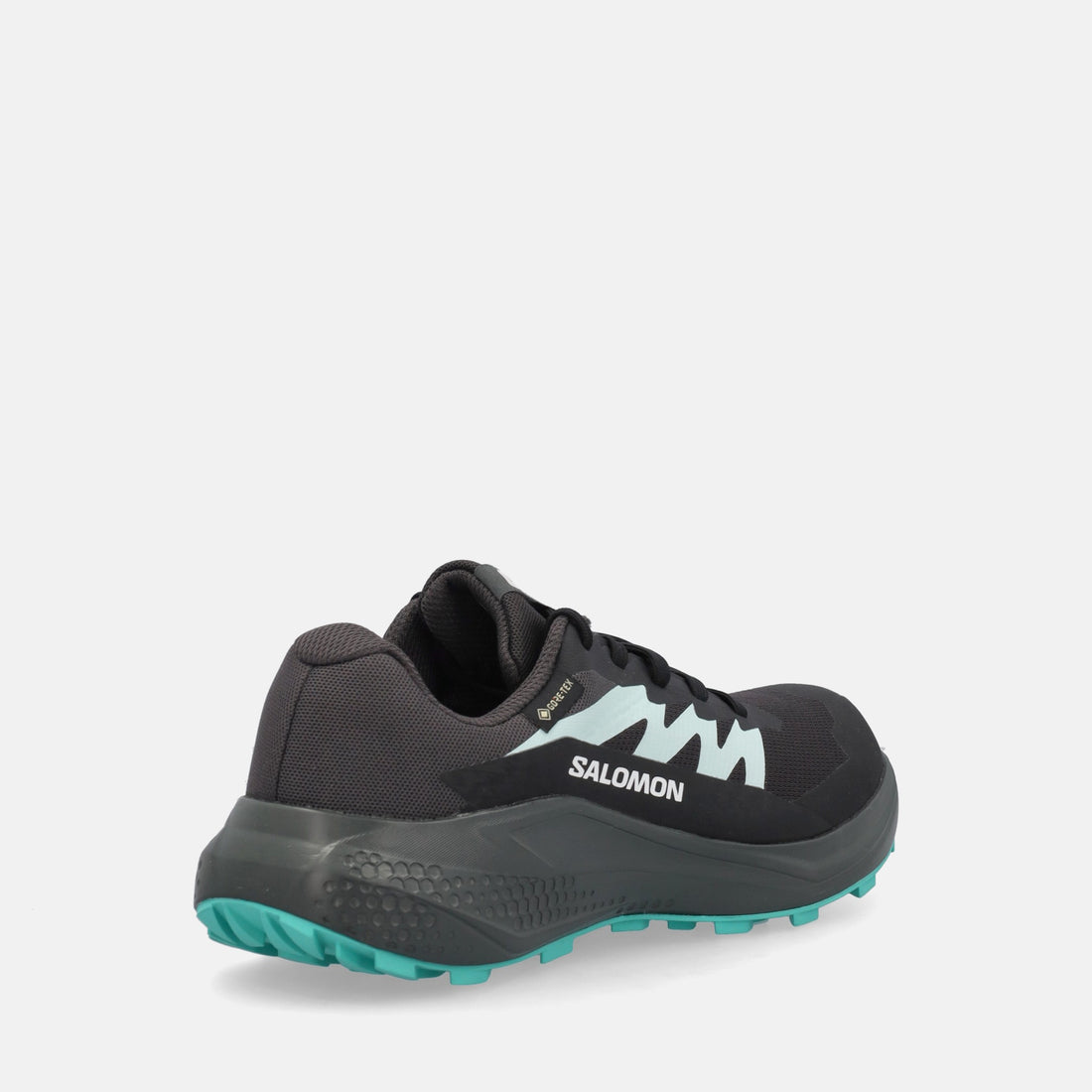 SALOMON ALPHAGLIDE GTX