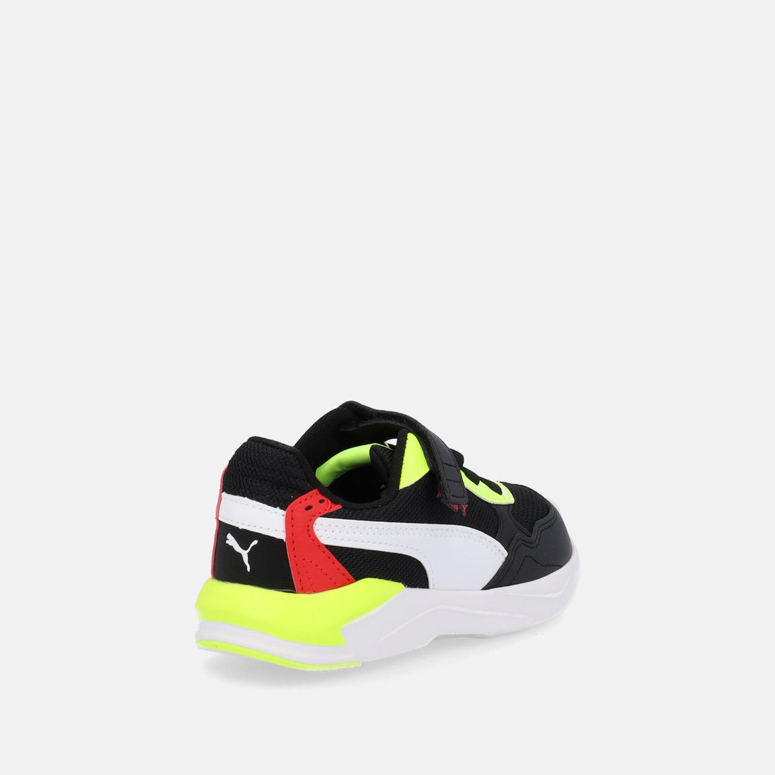 X-RAY SPEED LITE
