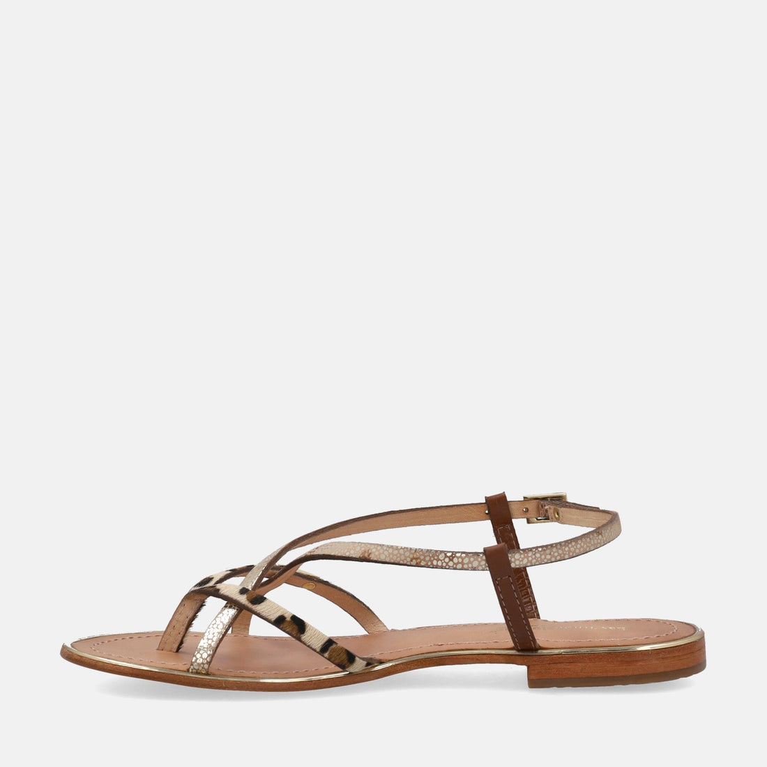 LES TROPEZIENNES MONACODE