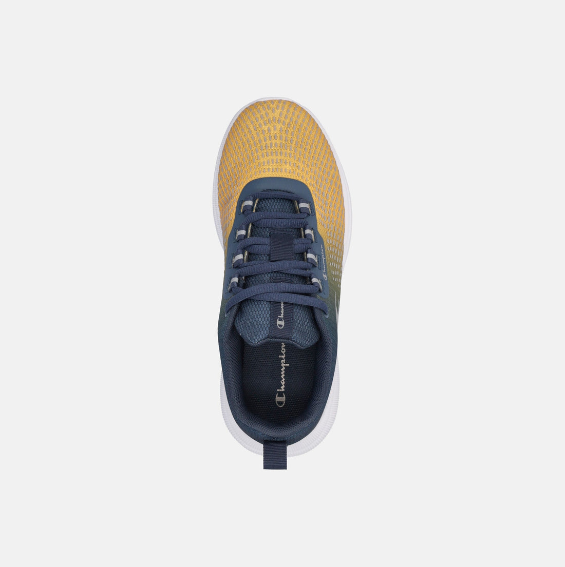 CHAMPION SYNPHON REFLECT