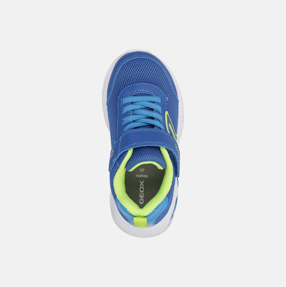 GEOX ASSISTER