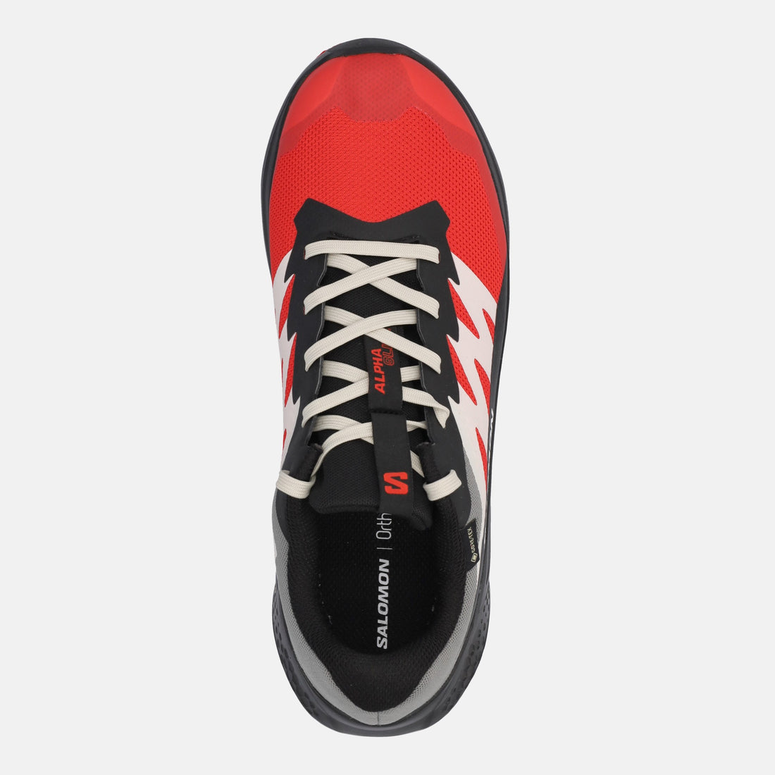 SALOMON ALPHAGLIDE GTX