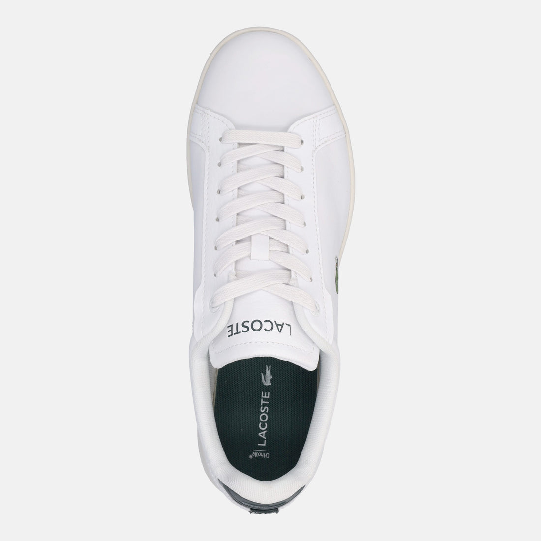 LACOSTE CARNABY PRO