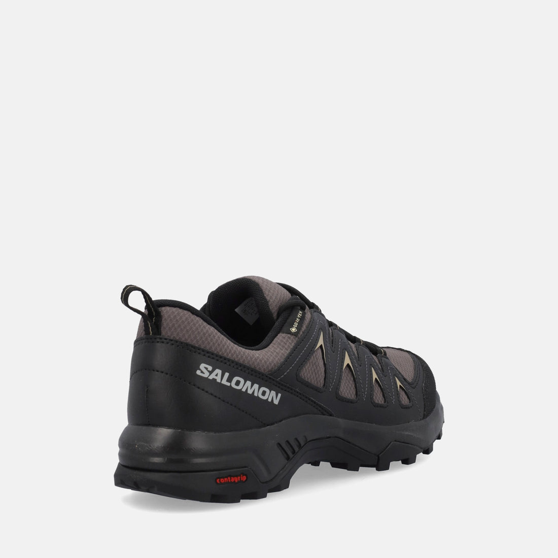 SALOMON X BRAZE GTX