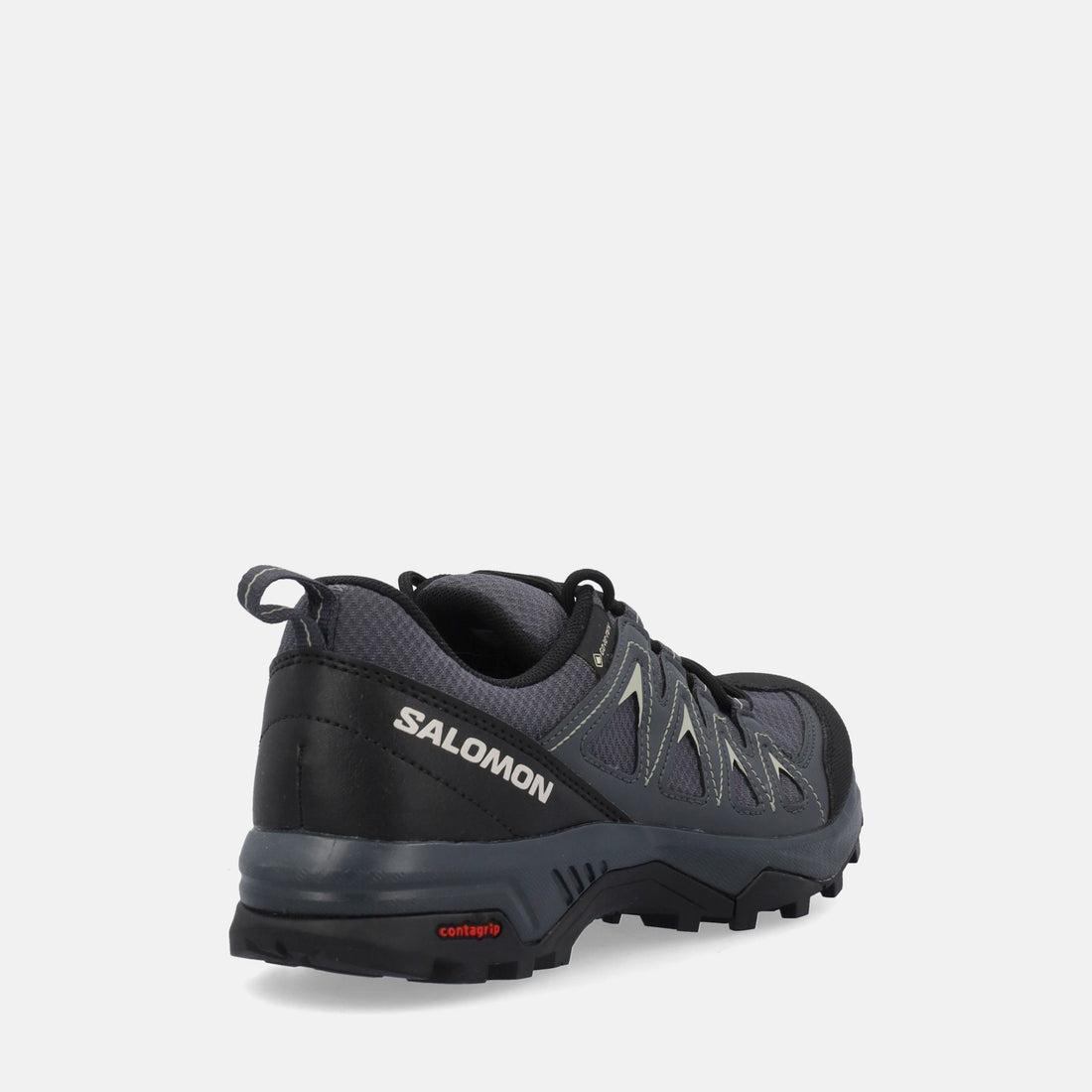 SALOMON X BRAZE GTX W