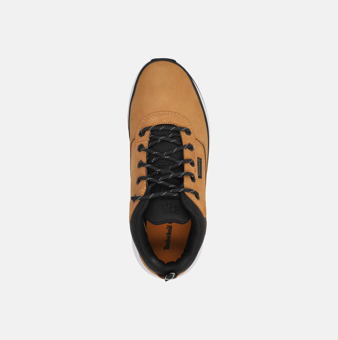 TIMBERLAND FIELD TREKKER SNEAKERS