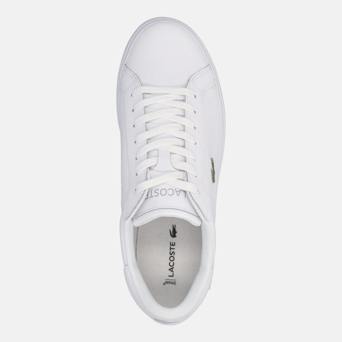 LACOSTE POWERCOURT