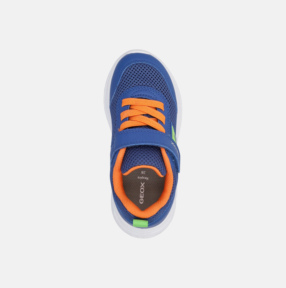 GEOX SPRINTYE