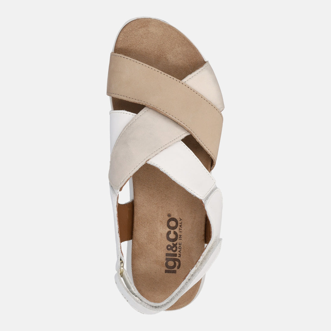IGI&CO SINDY