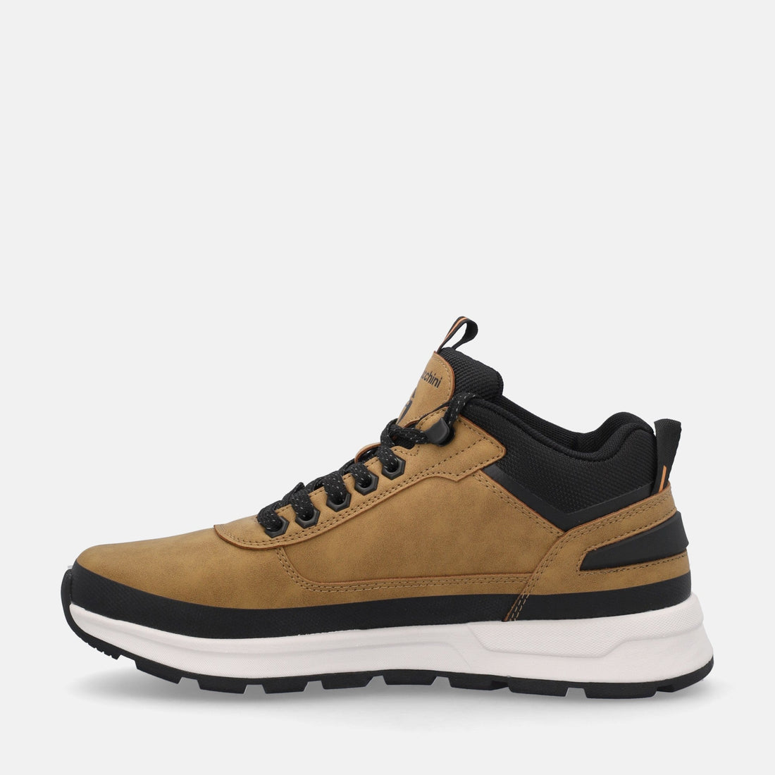 SERGIO TACCHINI CORTINA