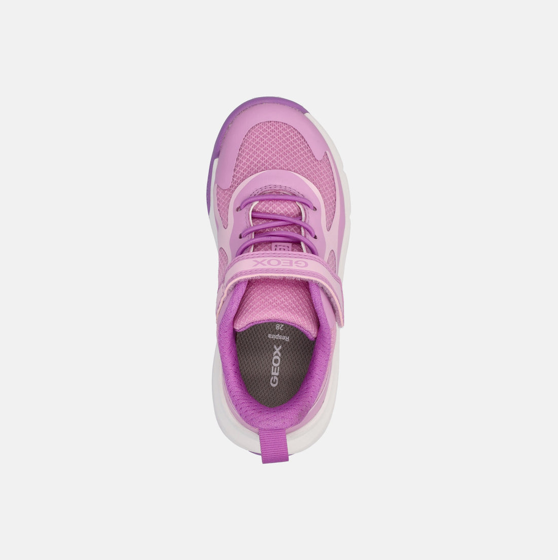 GEOX PRO-RAN