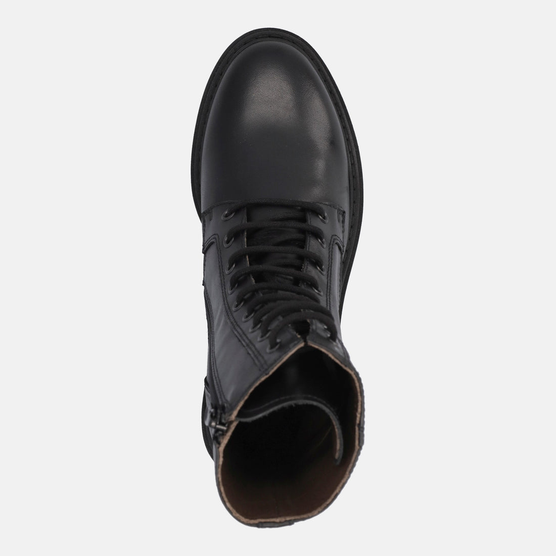 NERO GIARDINI ANFIBI