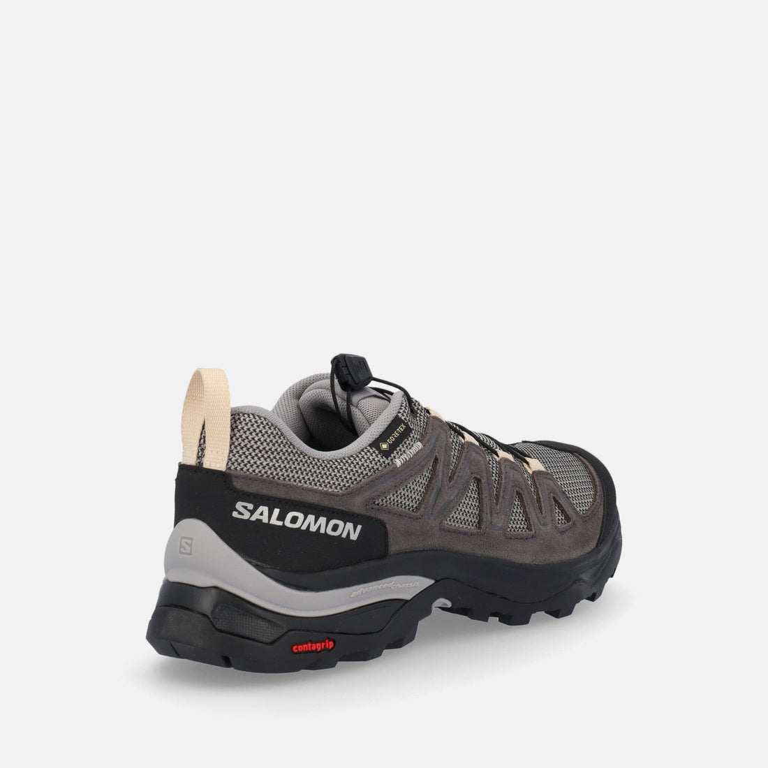 SALOMON X WARD GTX