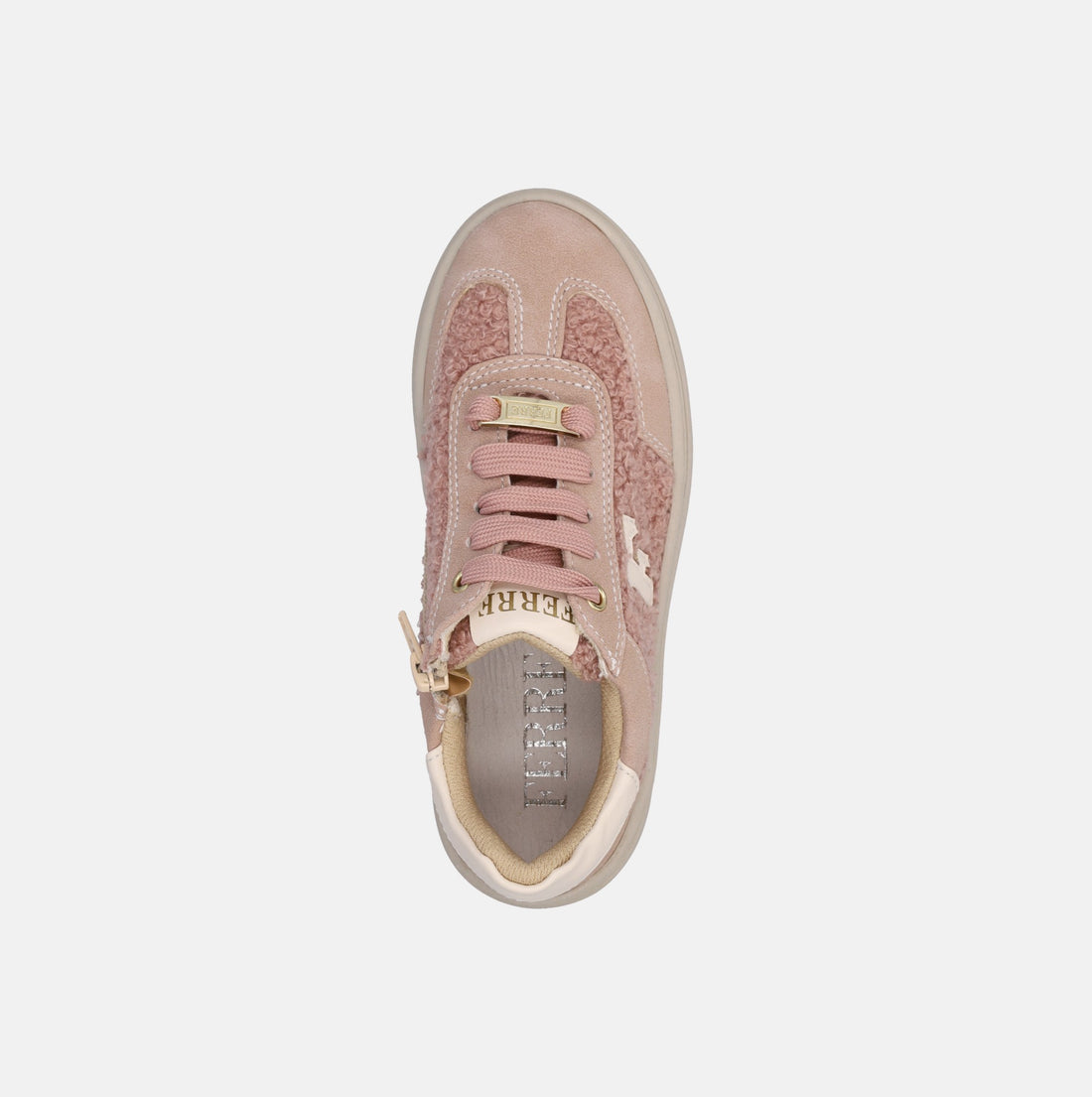 FERRE PEGASUS