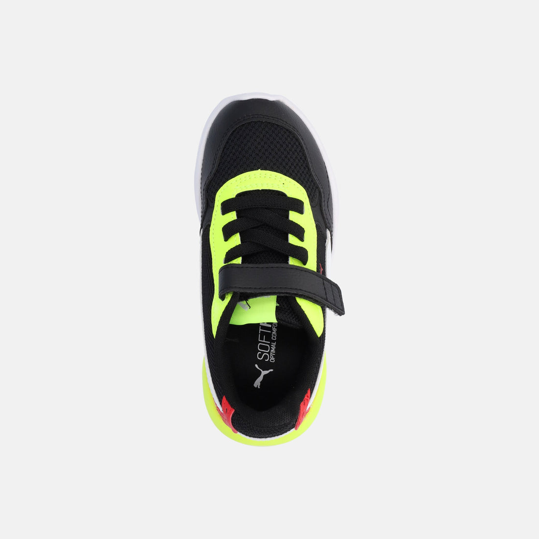 X-RAY SPEED LITE