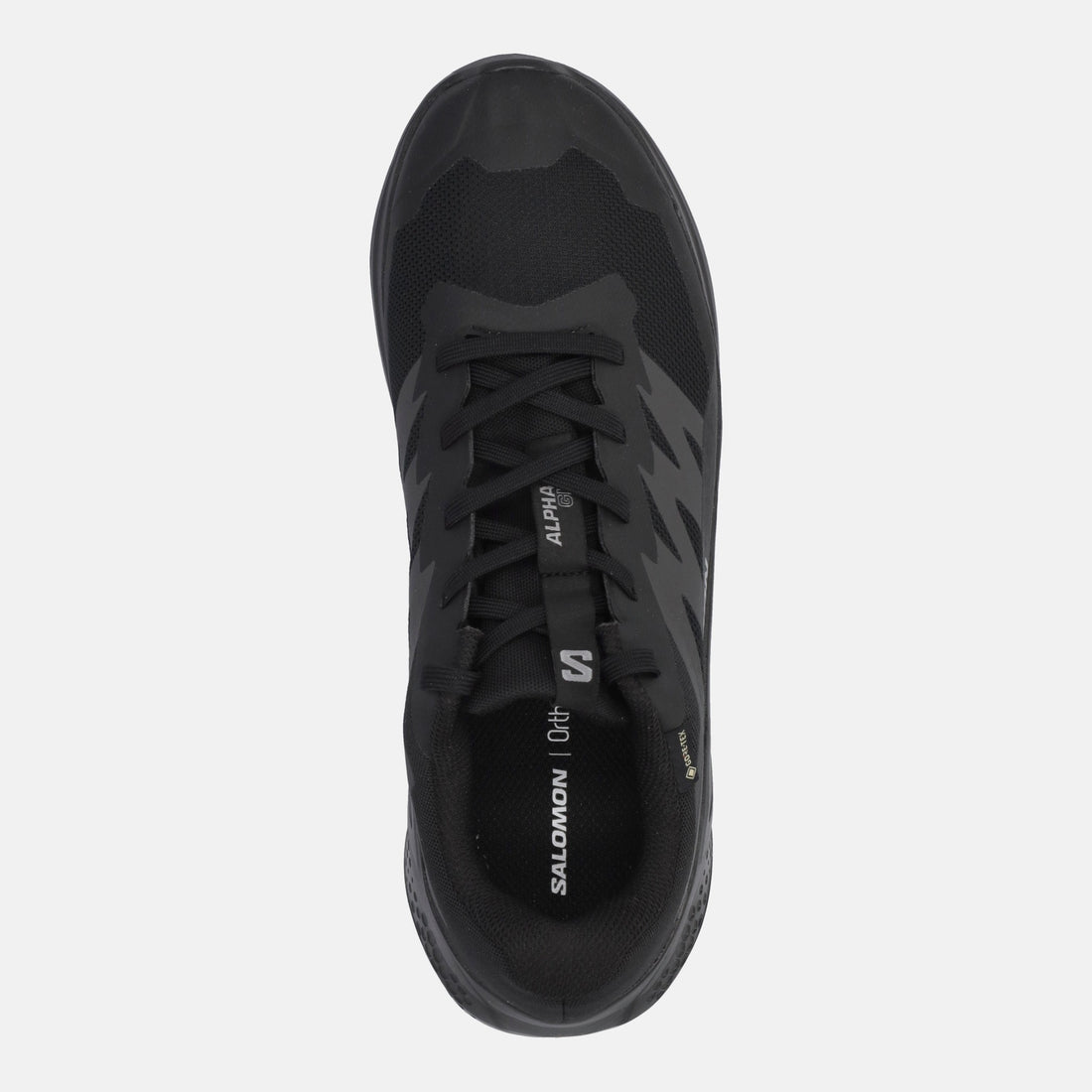 SALOMON ALPHAGLIDE GTX