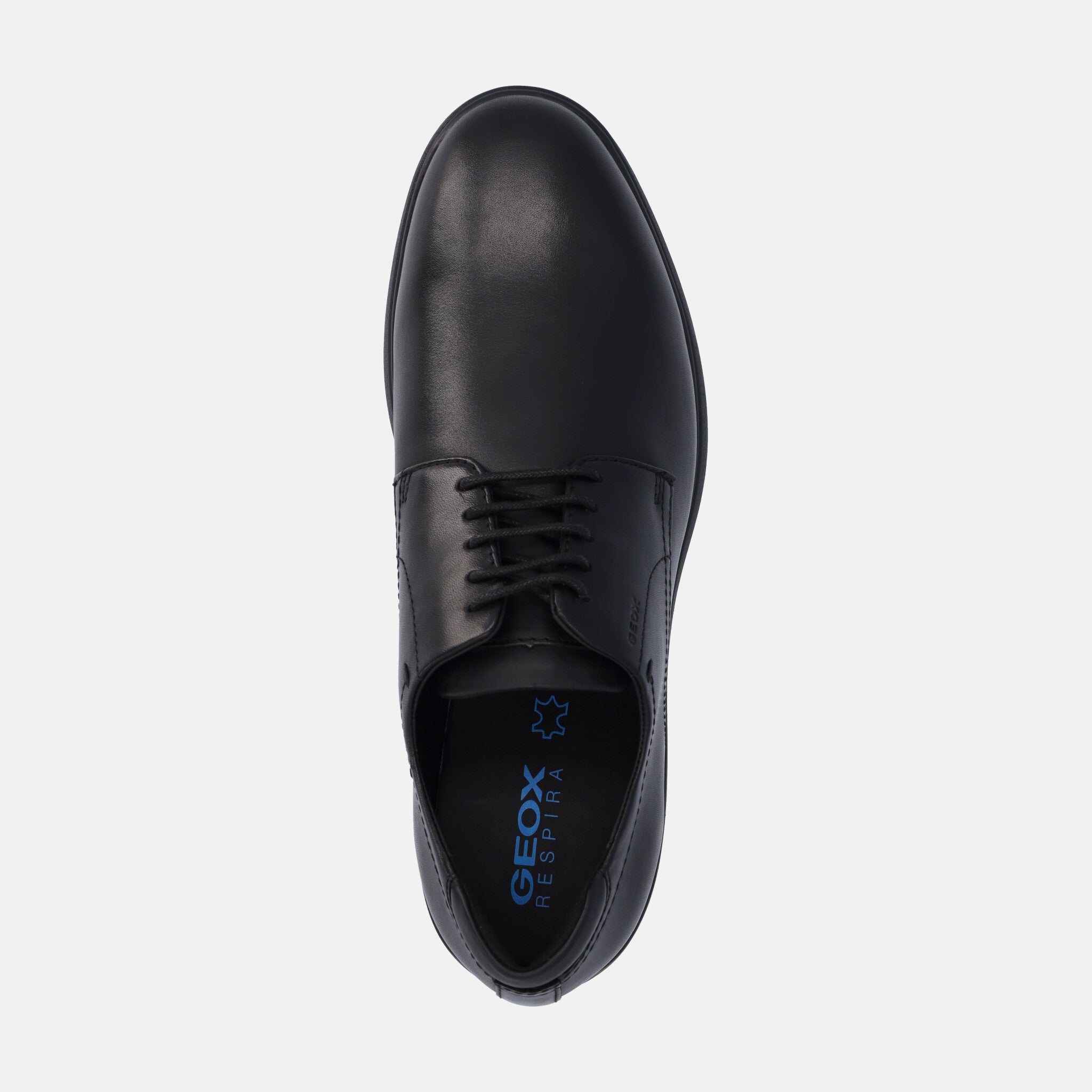 Geox scarpe store uomo